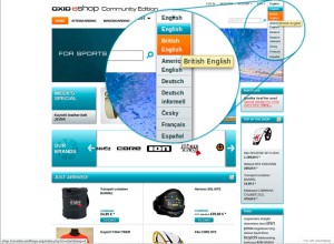 Working with child themes in OXID eShop